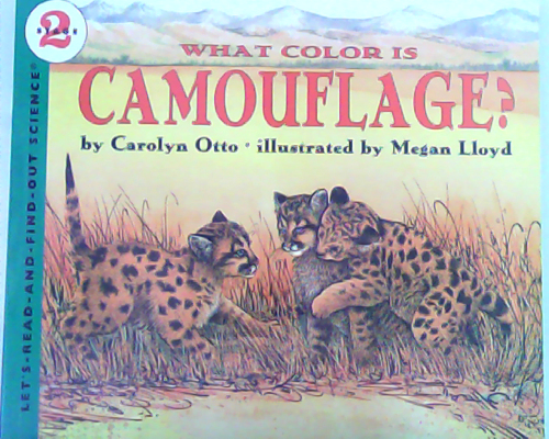 Let‘s read and find out science：What Color is Camouflage? L4.3